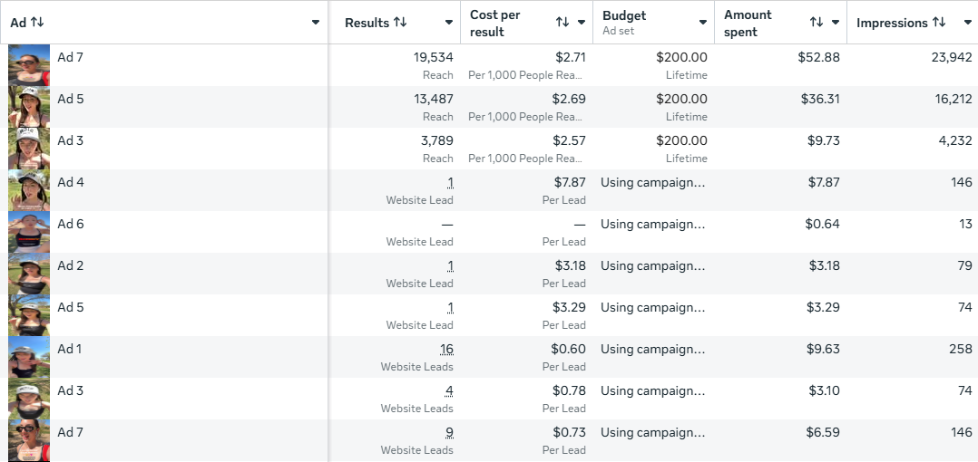 Savannah Schaffer Meta Ads dashboard showing reach campaigns, website leads, cost per lead, and low-ticket subscription performance